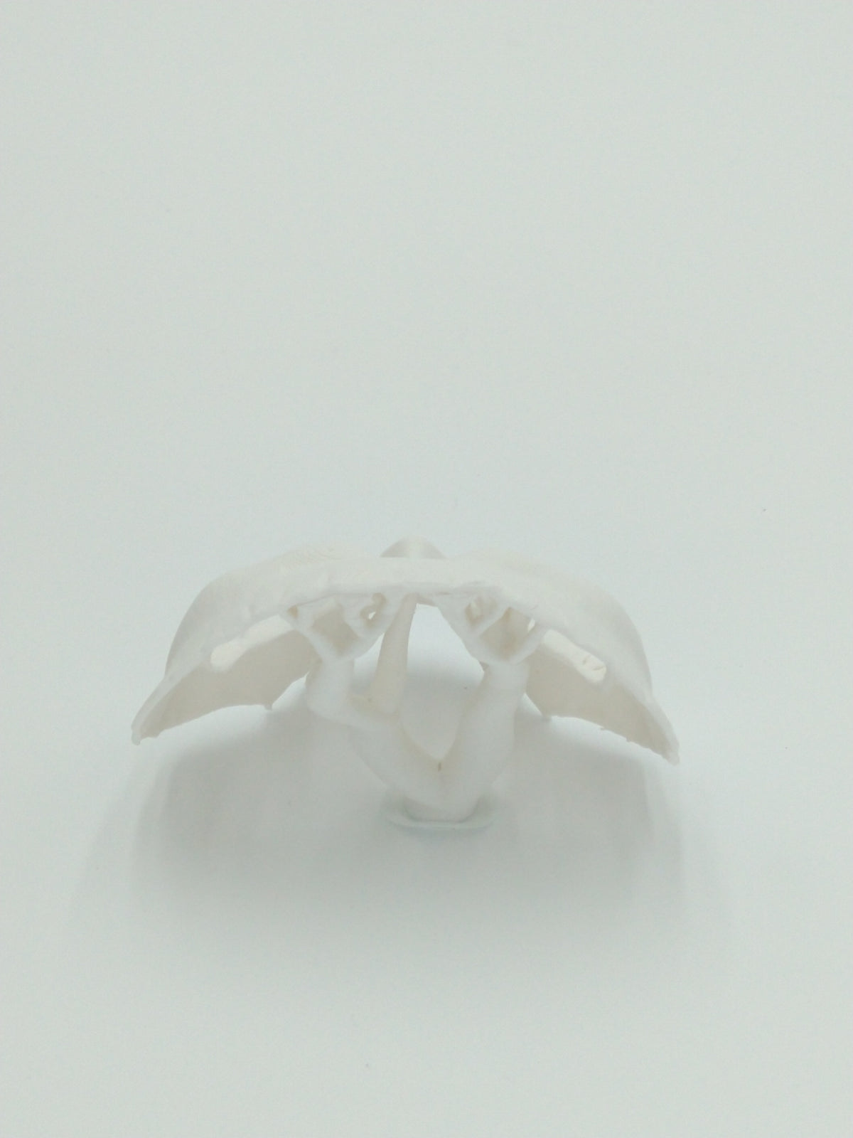 Call of Duty Ghost Mask Skull Miniature Collectible W/Display case 3" 3d printed