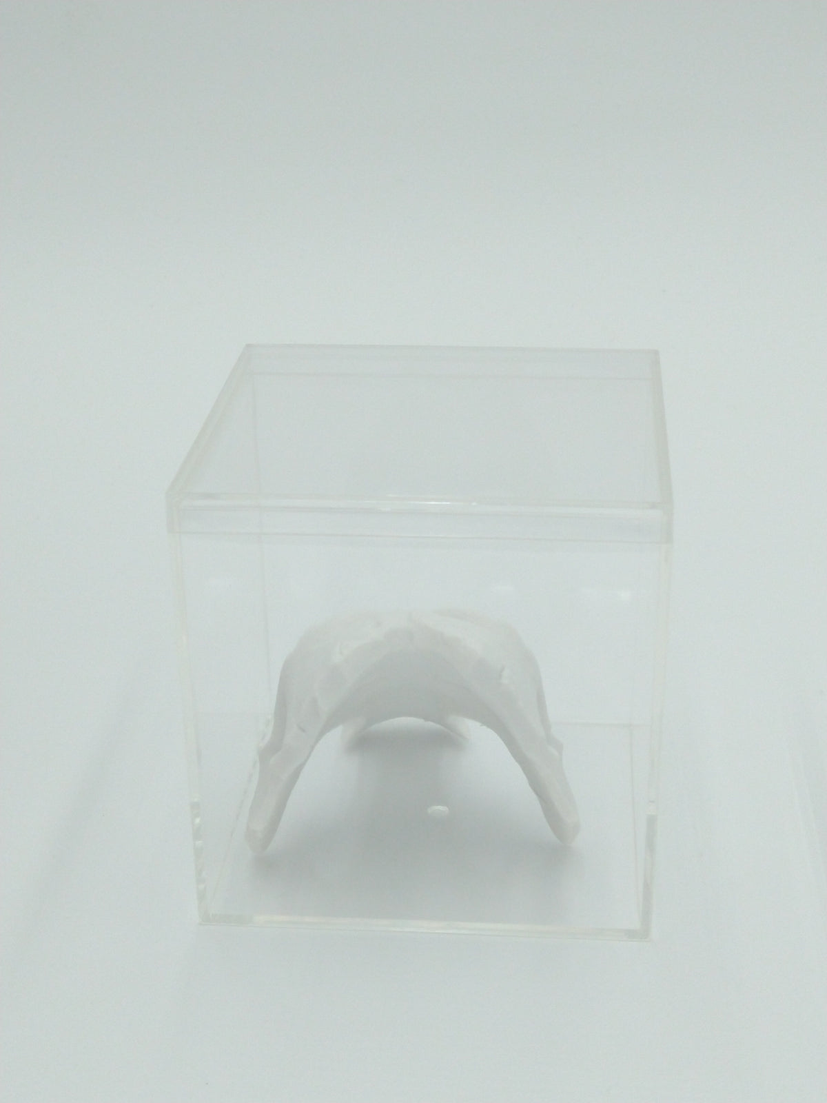 Darksiders Death Mask Skull Miniature Collectible W/Display case 3d printed