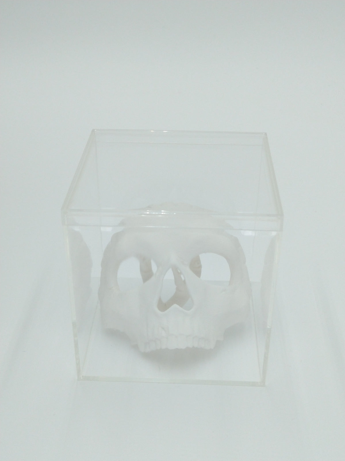 Call of Duty Ghost Mask Skull Miniature Collectible W/Display case 3" 3d printed