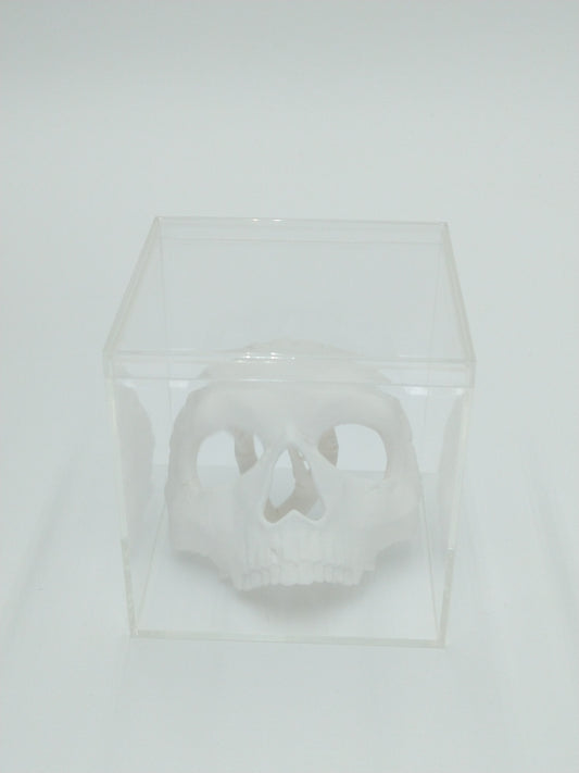 Call of Duty Ghost Mask Skull Miniature Collectible W/Display case 3" 3d printed