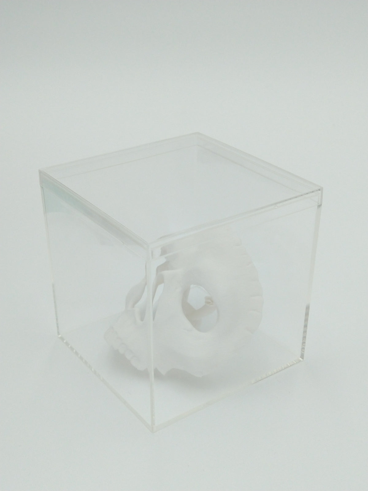 Call of Duty Ghost Mask Skull Miniature Collectible W/Display case 3" 3d printed