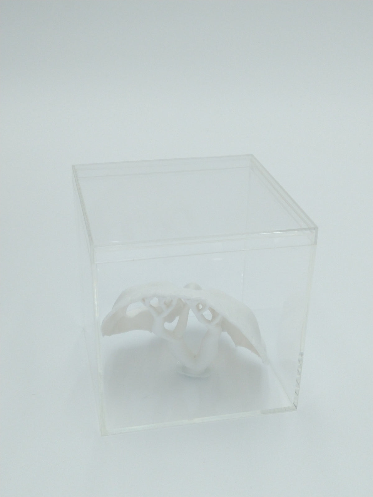 Call of Duty Ghost Mask Skull Miniature Collectible W/Display case 3" 3d printed