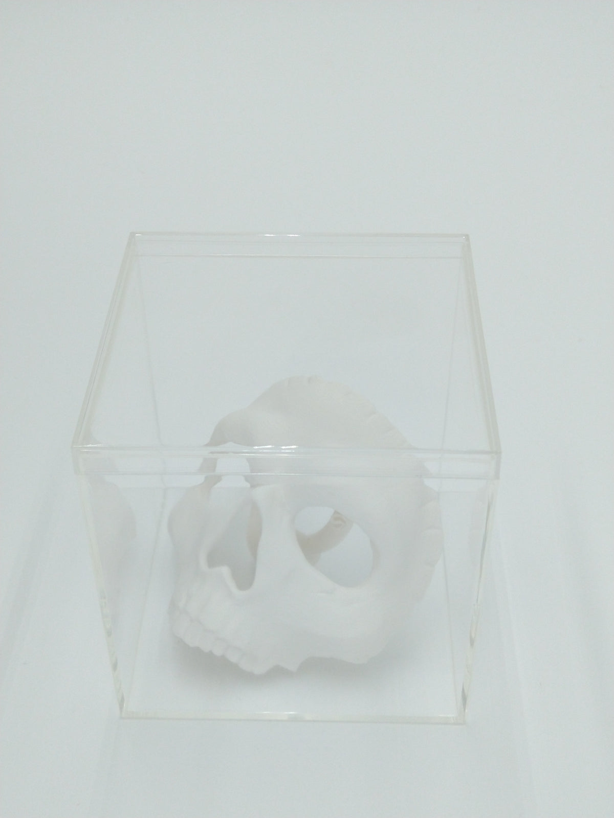 Call of Duty Ghost Mask Skull Miniature Collectible W/Display case 3" 3d printed