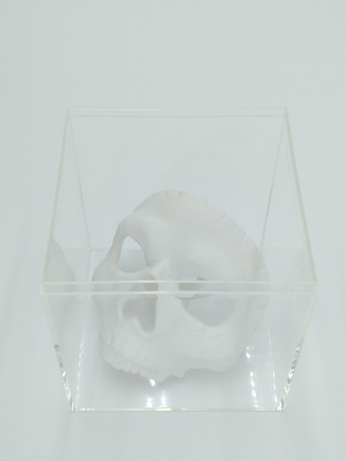 Call of Duty Ghost Mask Skull Miniature Collectible W/Display case 3" 3d printed