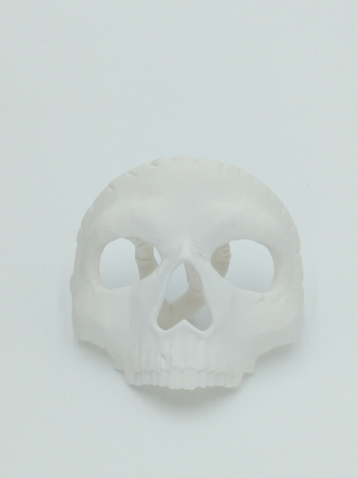 Call of Duty Ghost Mask Skull Miniature Collectible W/Display case 3" 3d printed