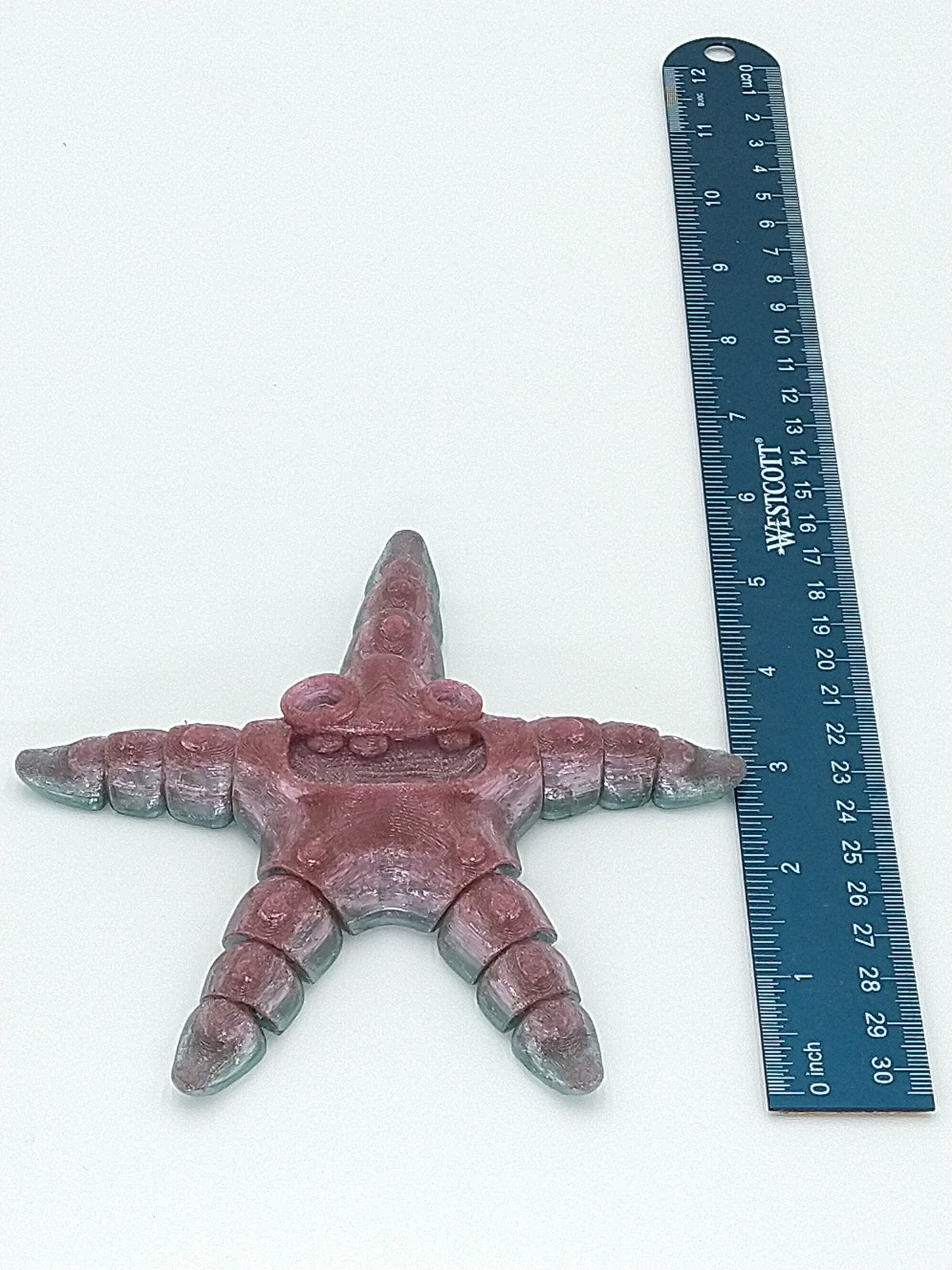 Goofy SQUISHY Starfish Articulated Figure Rainbow 5" 3D Printed Flexi Factory